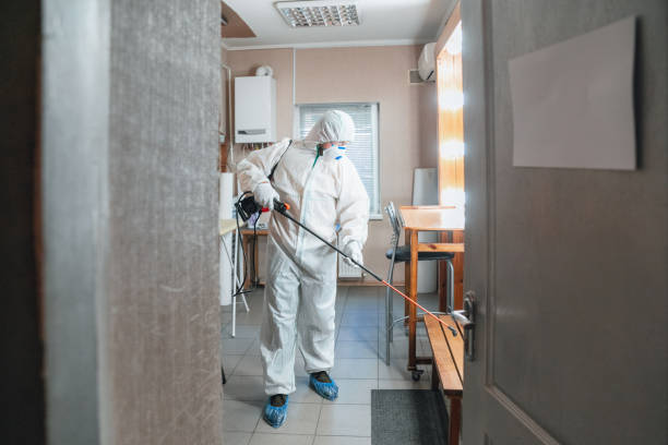 Mold Removal